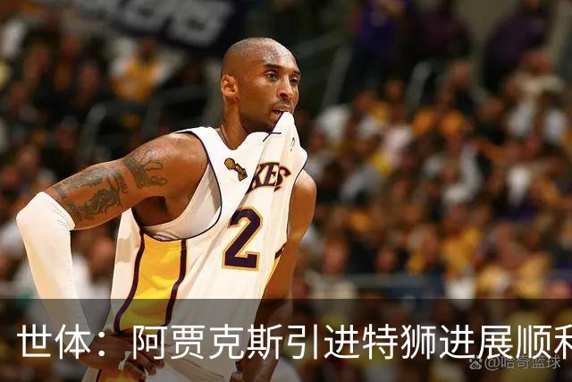 世体：阿贾克斯引进特狮进展顺利，但只能租借并承担小部分薪资